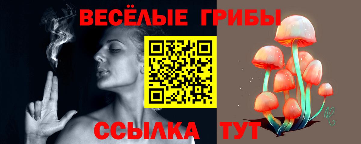 Амурск  Псилоцибиновые грибы Psilocybe  Вход с VPN  Псилоцибиновые грибы Psilocybine cubensis 